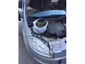 Kuşadası’nda Uyuşturucu Tacirlerine Büyük Darbe