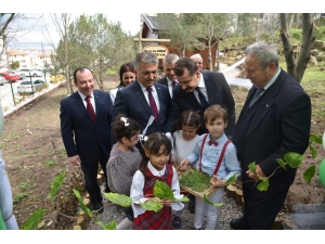 Anaokulu Öğrencileri Doğada Eğitim Görüyor