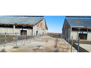 Süt Sığırcılığı Tesisinden Hırsızlığa 3 Tutuklama