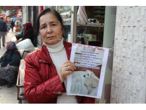 ‘Kartopu’yu Bulanı Ödüllendirecek