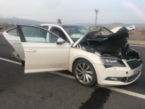 Bingöl’de Otomobilin Çarptığı Eşek Telef Oldu