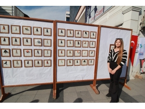 Kadınlar Günü’nde Kadın Cinayetlerine Dikkat Çekti