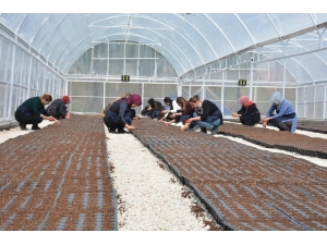 Kızıltepeli Kadınlar Dünya Kadınlar Günü’nde Kooperatif Kurdu