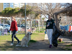 Falezlerde Temizlik Çalışması
