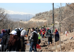 Talas’tda İdlib Şehitleri İçin Fidan Dikimi