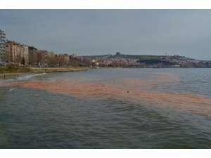 Marmara Denizi Turuncuya Boyandı
