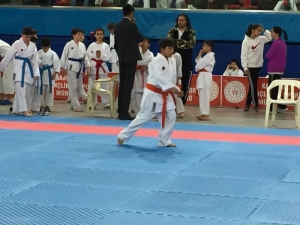 Minik Yıldızlar Karate İl Şampiyonası Başladı