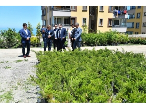 Ortahisar’da Bahar Cümbüşü Başladı