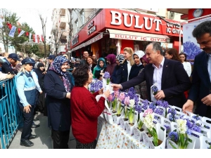 Bağcılar Belediyesi’nden Kadınlar Gününde 10 Bin Sümbül
