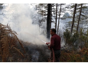 Zonguldak’ta Orman Yangını