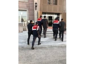 Hayvan Hırsızları Jandarmanın Takibiyle Yakalandı