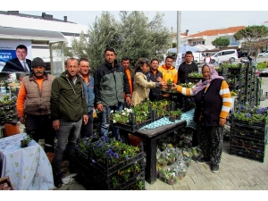 Çeşme Belediyesi’nden Kadınlara Çiçek Fidanı