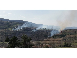 Türkeli Ve Ayancık’ta Orman Yangını