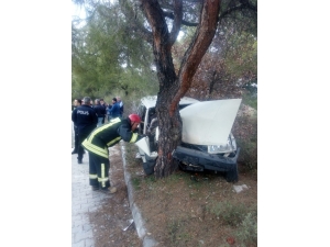 Denizli’de Otomobil Ağaca Çarptı: 1 Ölü, 1 Yaralı