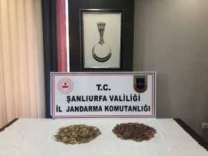 Şanlıurfa’da Durdurulan Araçta Namlulu Silah Mermileri Ele Geçirildi