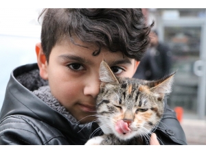 Sokakta Bulduğu Kediye Üzüldü, Montuna Sarıp Veterinere Götürdü