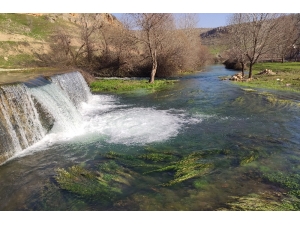 Karasu Çayı Eski Su Seviyesine Kavuştu