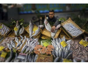 Balık Fotoğrafı Yarışmasının Kazananları Belli Oldu