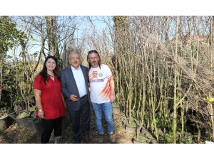 Öğretmenliği Bırakıp Botanikçi Oldu