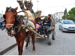 Doğduğundan Beridir At Arabasıyla Kağıt Topluyor