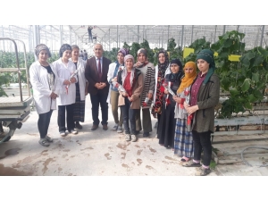 Başkan Ensari’den Kadınlara Gül