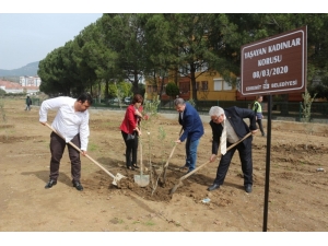 Kadınlar Gününe Zeytin Fidanlı Destek