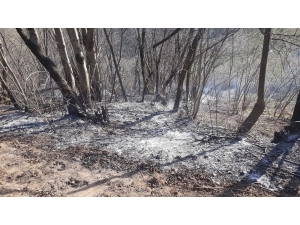 Perşembe’de Örtü Yangınları