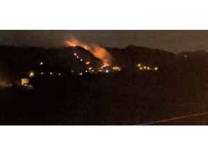 Trabzon’da Orman Yangını