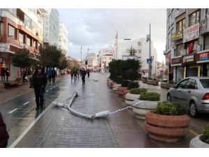 Bolu’da, Fırtına Nedeniyle Direkler Ve Ağaçlar Devrildi