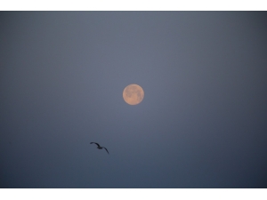 Süper Ay’ın Kartpostallık Doğuşu Ve Batışı