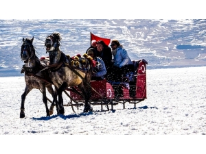 Mart Ayında Atlı Kızak Keyfi