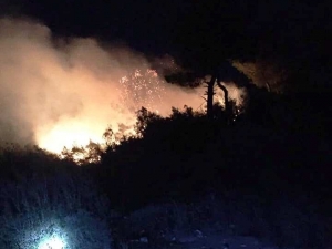 Osmaniye’de Orman Yangını