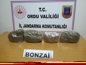 Ordu’da Uyuşturucu Operasyonu