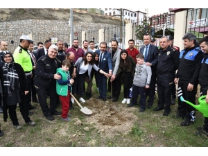 Yeşil Bitki Örtüsüne Destek Amacıyla Fidan Dikimi Yapıldı