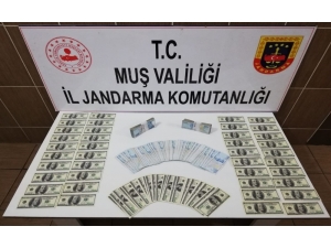 Jandarmadan Kalpazanlara Operasyon