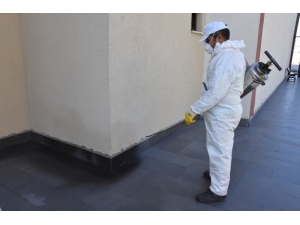 Kocasinan Belediyesi’nden Haşerelere Karşı Etkin Mücadele