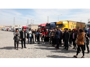 Hukuk Fakültesi Öğrencileri Gümrük Sahasında