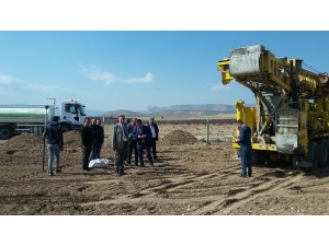 Yazıhan’da Trabzon Hurması Yetişecek