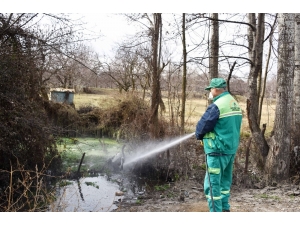 Malatya’da Haşerelere Karşı Mücadele Başladı