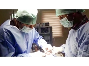 Bursa’da Araba Çarpan Köpek Ameliyat Edildi