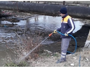 Sungurlu’da Uçkunla Mücadele Çalışmaları Start Aldı