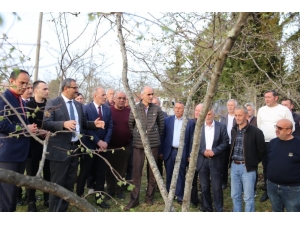 Giresun’da “Örnek Bahçe” Projesi Eğitimi Verildi