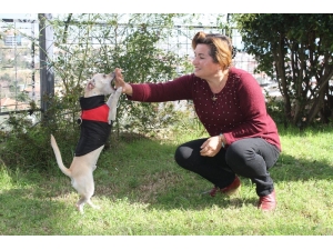 Boş Kağıda Attığı İmzayla 500 Bin Tl Dolandırıldığı İddiası