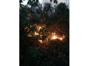 Giresun’da Örtü Yangını