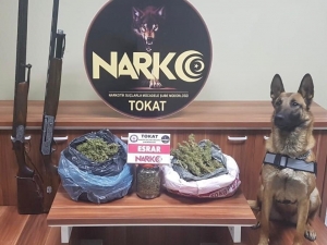Tokat Ve Amasya’da Torbacı Operasyonu; 5 Tutuklama