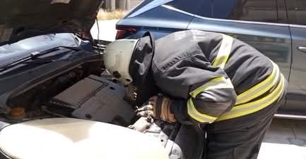 arsuz-da-aracin-motor-kismina-giren-yavru-kedi-kurtarildi