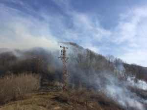 Ordu’daki Orman Yangını Kontrol Altına Alındı