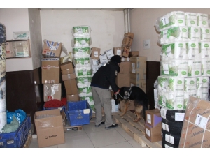 Narkotik Köpeği, Kargo Firmalarında Uyuşturucu Aradı
