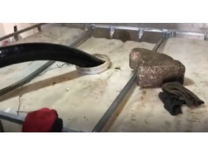 Gaziantep’te Bin 600 Litre Kaçak Akaryakıt Ele Geçirildi