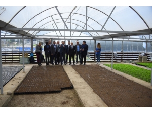 Salihli’ye Teknolojik Sera Kurulacak